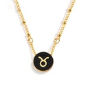Zodiac Sign Constellation Enamel Pendant Necklace