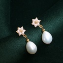 Freshwater Pearl Bridesmaids Wedding Jewelry Drop Earrings