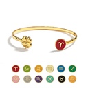 Zodiac Sign Constellation Enamel Bracelet